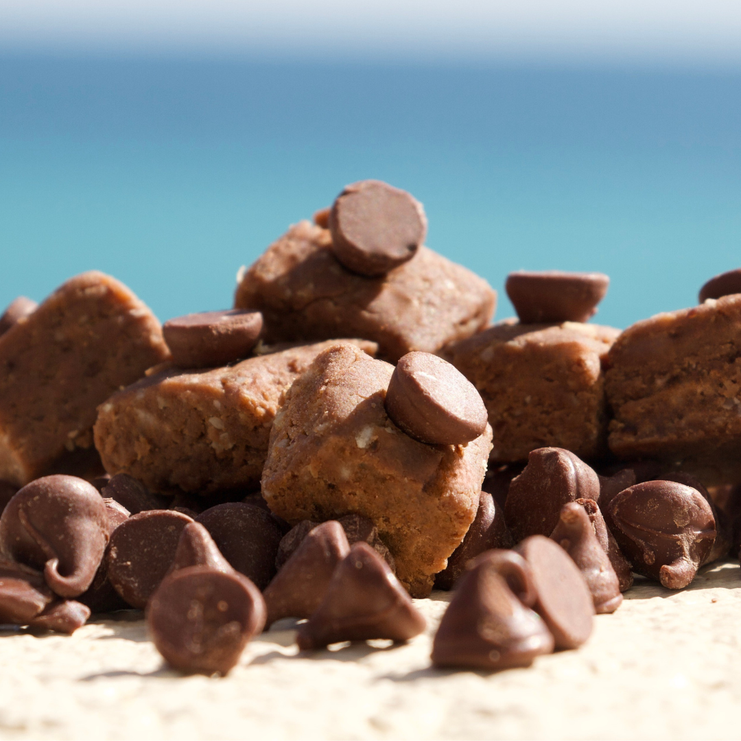 Chocolate Peanut Butter Protein Bites
